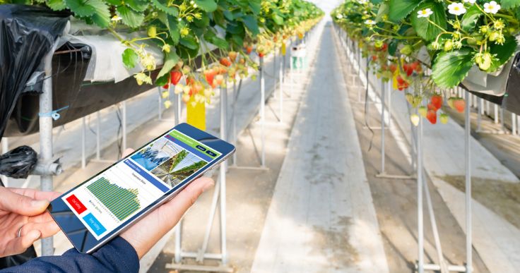 スマート農業に取り組むメリットや効果